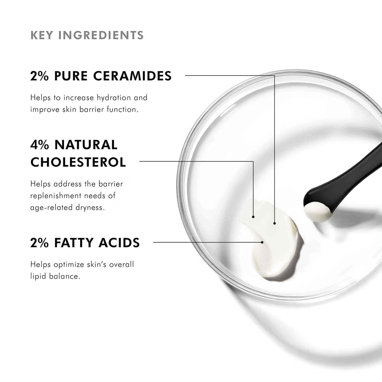 Triple Lipid Restore 2:4:2 | SkinCeuticals